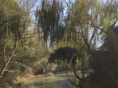 -同里国家湿地公园