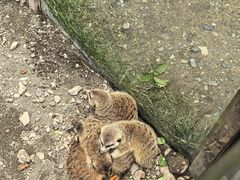 -水上乐园·欢乐世界