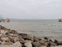 -深圳湾公园(南山区)