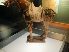 -衢州市博物馆