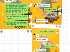 -佳怡动物医院·平价24小时·猫专科骨外科