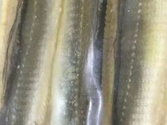 -古韵轩·江浙融合菜(梁溪店)