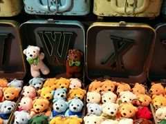 -济州岛泰迪熊博物馆