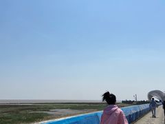 -南汇嘴观海公园