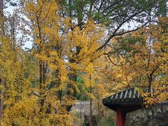 -窦圌山风景区