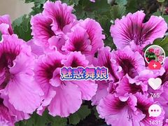 -农大2食堂