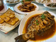 清蒸多宝鱼-新洪记·丽久饭店(铁西店)