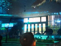 -福州罗源湾海洋世界旅游区