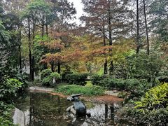 -深圳国际园林花卉博览园