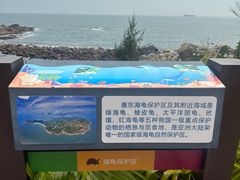 -广东惠东海龟国家级自然保护区