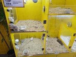 -神奇动物撸宠馆·羊驼·小浣熊·异宠(豫园店)
