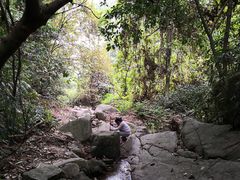 -火炉山森林公园