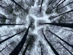 -山王坪喀斯特国家生态公园