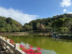 -广州市帽峰山景区