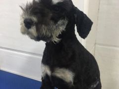 -派特宠物医院(圆融广场店)