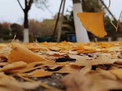 -北京园博大酒店