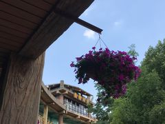 -热带风暴水上乐园(新镇路)
