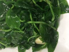 -明升萝卜汤
