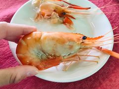 -南沙十九涌渔人码头-南门