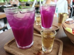 -植物园哈利亚餐厅