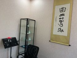-北京丽星翼美医疗美容