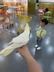 -Moni星球萌宠·小马宝莉·灵蛇·高端高阶全萌宠互动体验俱乐部(红豆国际广场店)
