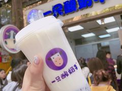 -一只酸奶牛(八一路店)
