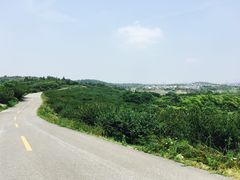 -南京市无想山景区