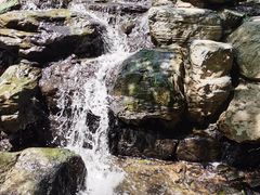 -白水寺森林公园