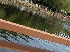 -丁香湖公园