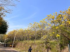 -飞凤山奥体公园