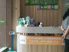 -瑞鹏宠物医院·猫科·宠保定点(梅溪湖分院)