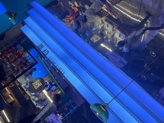 -香澜豪庭酒店·茉莉西餐厅·自助餐厅