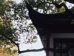 -秋霞圃