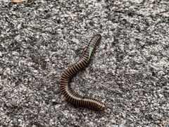 -碓臼峪自然风景区