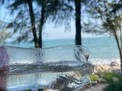 -广东惠东海龟国家级自然保护区