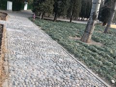-泰丰公园
