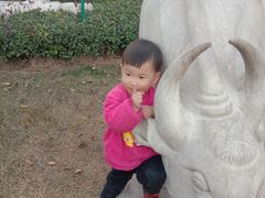 -象山森林公园