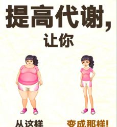 -Fundi张玉珊修身堂·indiba·BTL科技瘦身