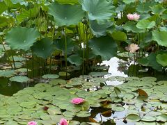 -国家植物园南园