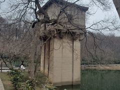-紫霞湖公园