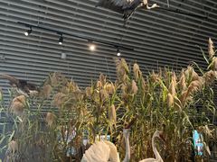 -中国湿地博物馆