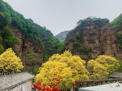 -爱情山风景区