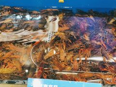 -深海壹品海鲜自助餐厅(吾悦广场店)