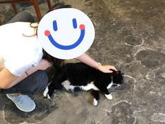 -下面馆