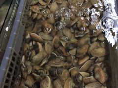 -岛中岛·海鲜大排档·万宁老字号(东澳店)