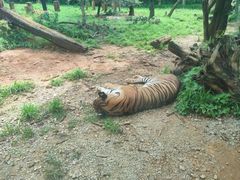 -云南野生动物园