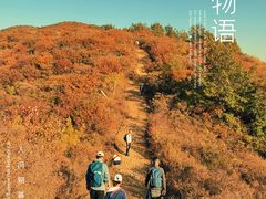 -鬼笑石后山停车场