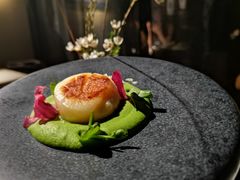 低温慢煮北海道带子配黑松露酱-觀芷隐轩