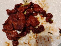 -新雅粤菜馆(南京东路店)